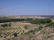 Panorámica desde el 'Teso de la Horca'